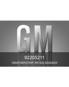 Genuine GM Ve Door Rubber Weatherstrip Seal Holden Commodore LHR 92293624